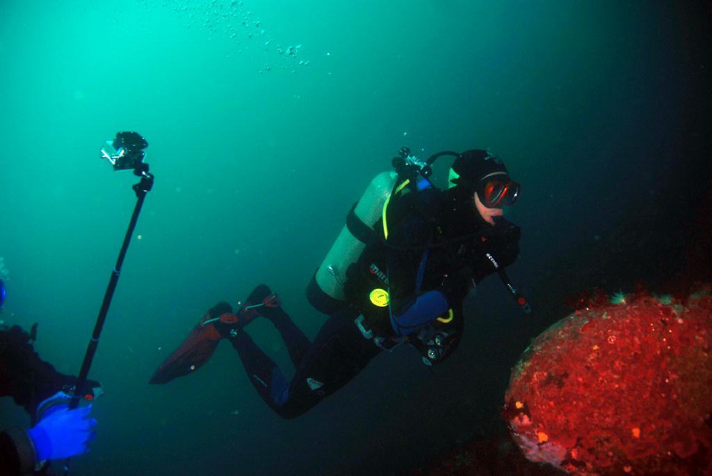 겨울바다 첫 다이빙 - 강원도 고성 천학정 리조트 - 문어짬