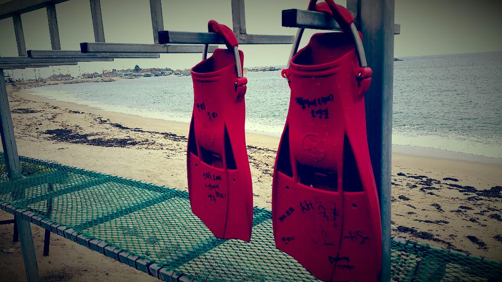 겨울바다 첫 다이빙 - 강원도 고성 천학정 리조트 - 문어짬