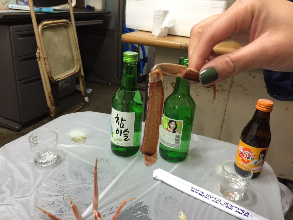 울진 울진잠수