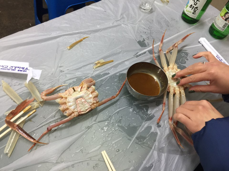 울진 울진잠수