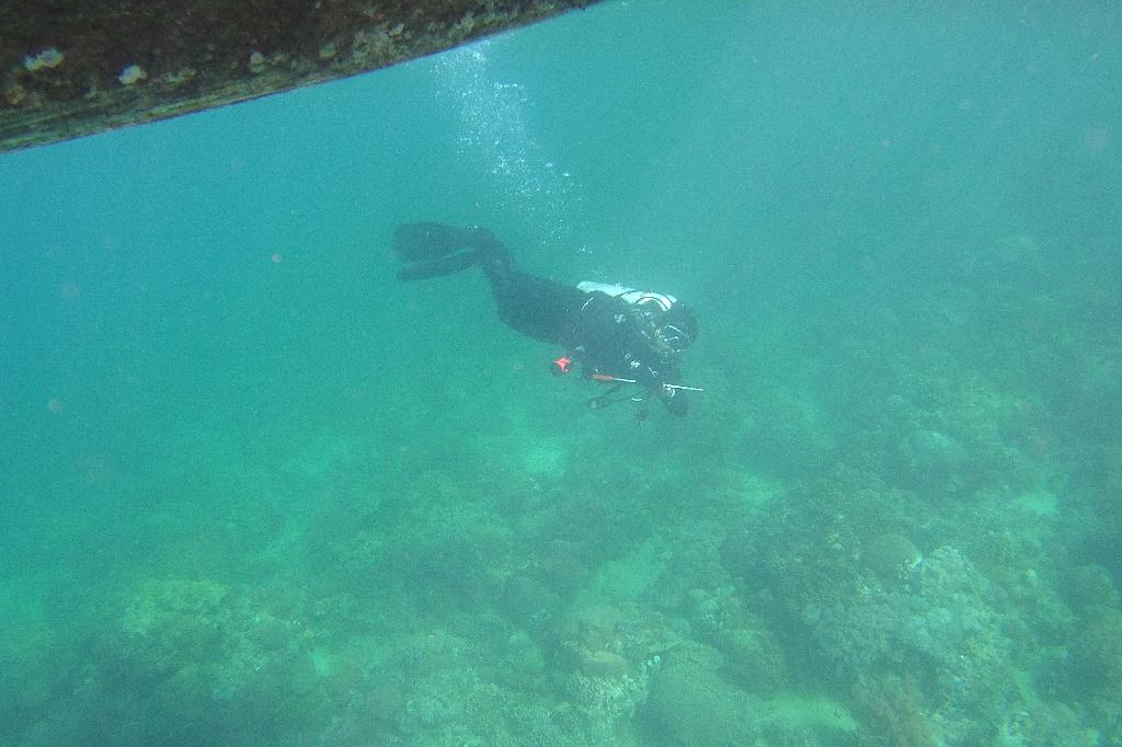 사방레드썬 - 드라이덕