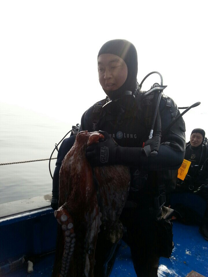 동해 청간정 - 소인공 70어초