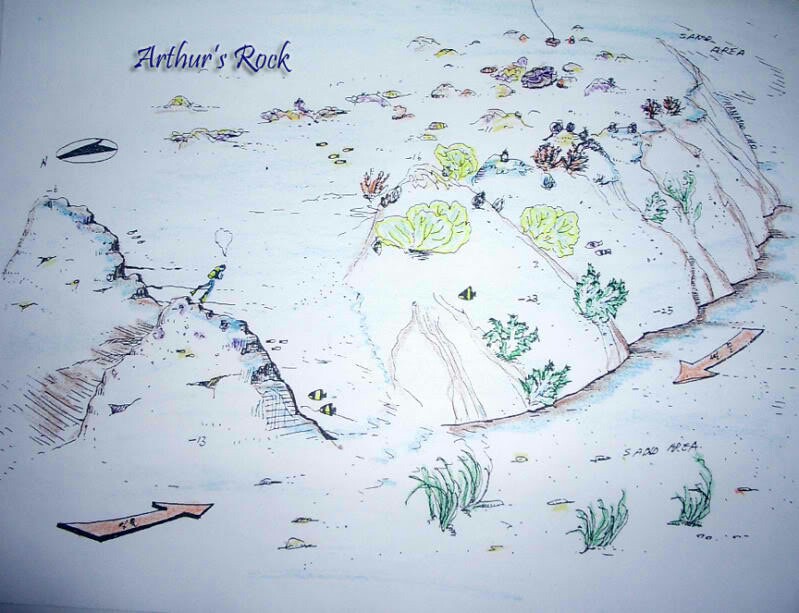 킹콩다이브리조트 - Arthur