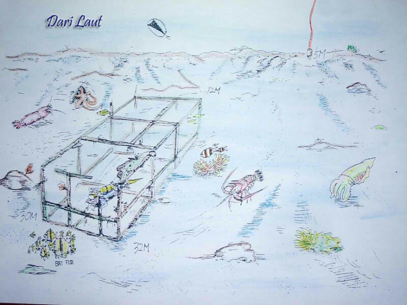 킹콩다이브리조트 - Dari Laut