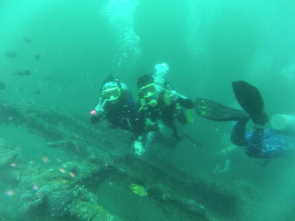 킹콩다이브리조트 - Dari Laut