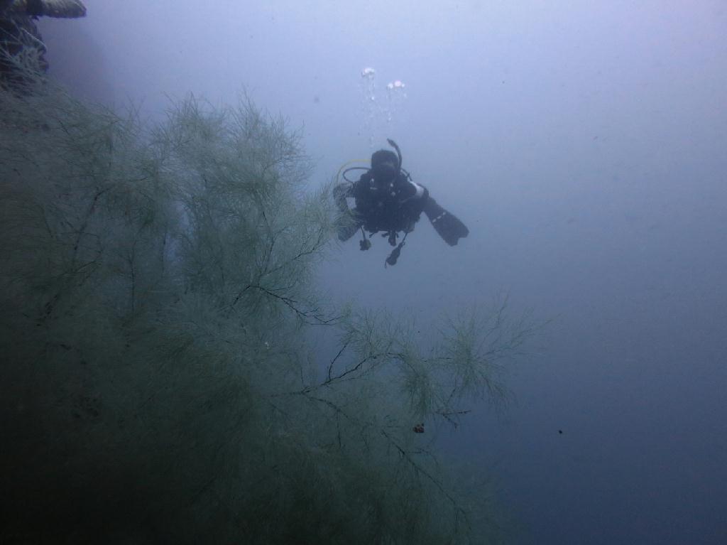 MB오션블루 다이브 리조트