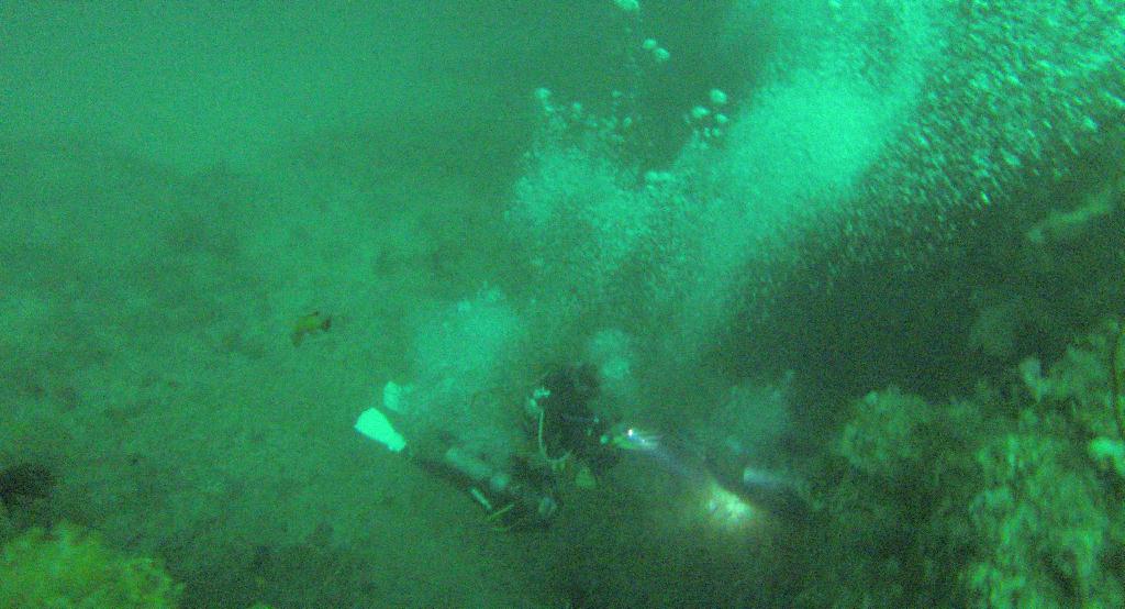 펀다이빙 - 사방비치 - 어딘지 까먹음