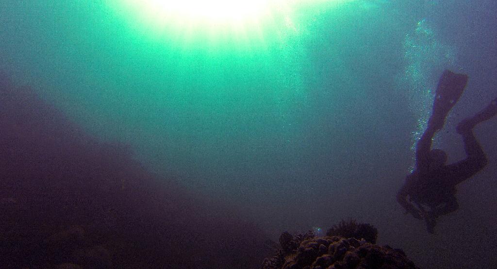 펀다이빙.. - 사방비치 - Coral Gardens