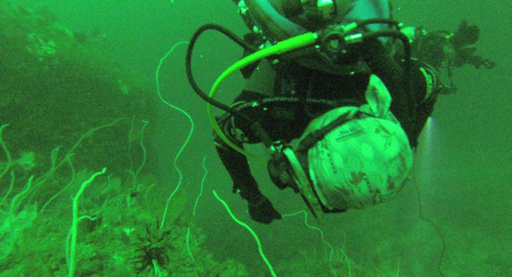 펀다이빙 - 사방비치 - 어딘지 까먹음