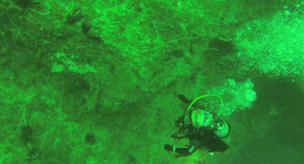 펀다이빙 - 사방비치 - 어딘지 까먹음