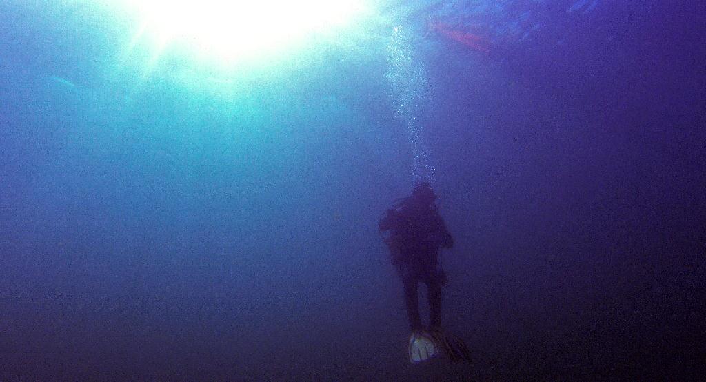 펀다이빙.. - 사방비치 - Coral Gardens