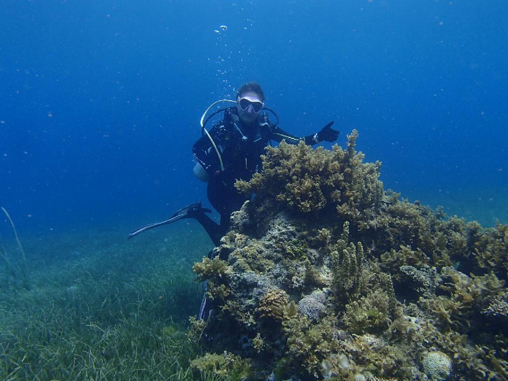 월다이빙 - 세부막탄 - 씨에어 체험포인트