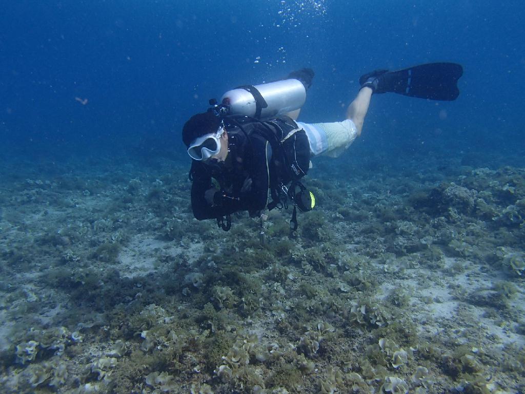 월다이빙 - 세부막탄 - 씨에어 체험포인트