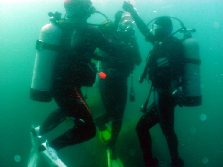 펀다이빙 - 강원도 양양 38마린리조트 - 모자반