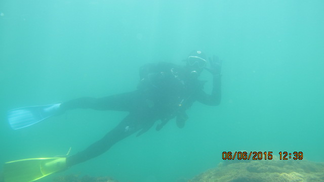 제주 성산다이브 - 비취포인트