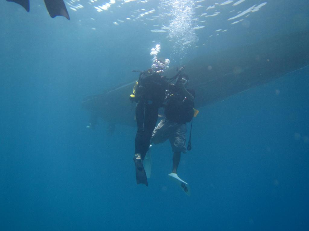 펀 다이빙 - 팔라우(그랑블루) - glass land