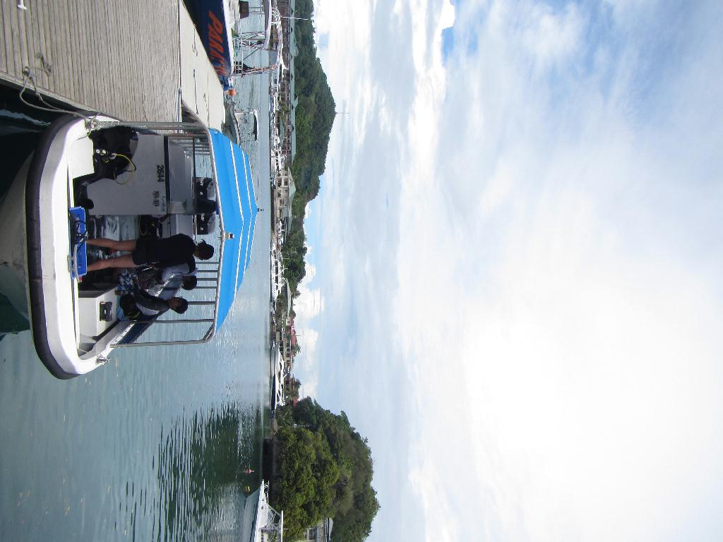 펀 다이빙 - 팔라우(그랑블루) - glass land