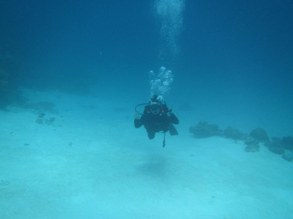 펀 다이빙 - 팔라우(그랑블루) - glass land