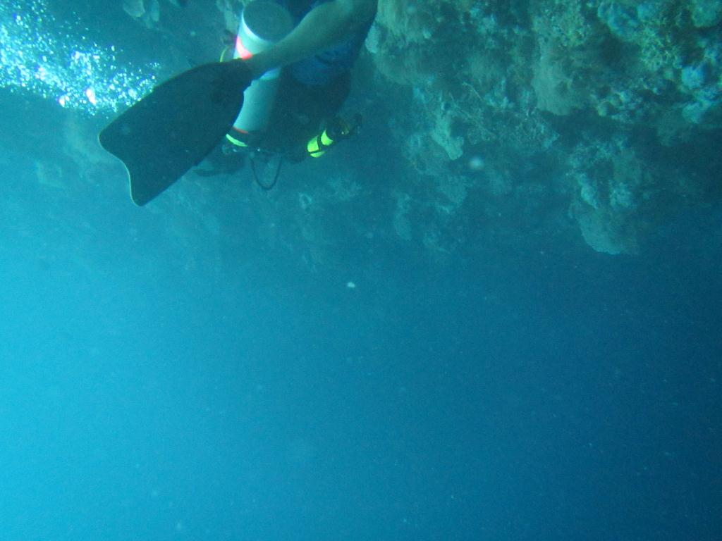 펀 다이빙 - 팔라우(그랑블루) - Ulong wall