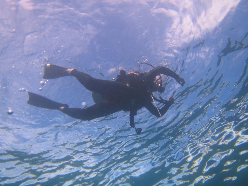 펀 다이빙 - 팔라우(그랑블루) - Ulong wall