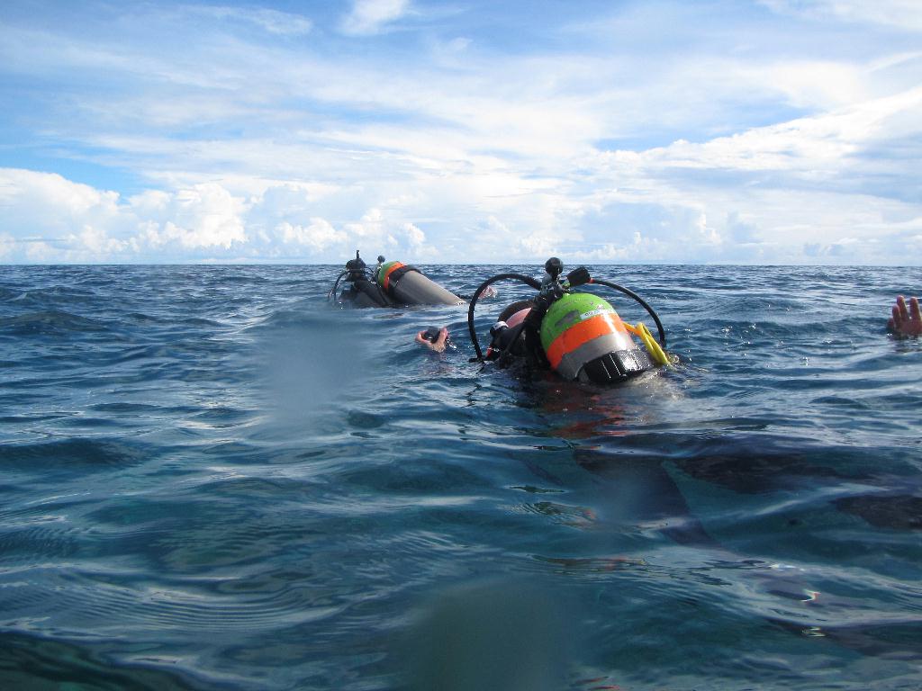 펀 다이빙 - 팔라우(그랑블루) - Ulong wall