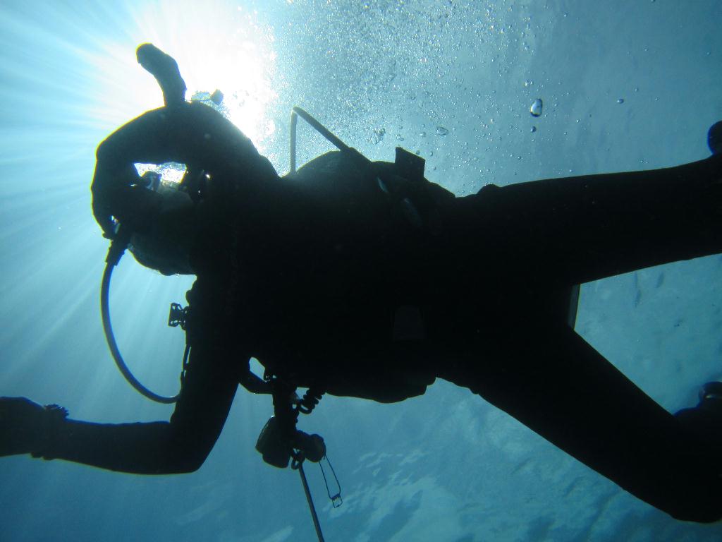 펀 다이빙 - 팔라우(그랑블루) - glass land