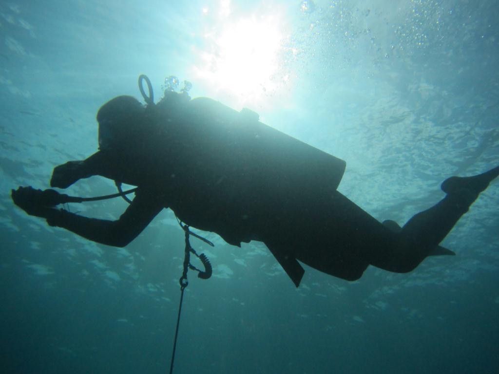 펀 다이빙 - 팔라우(그랑블루) - Ulong wall