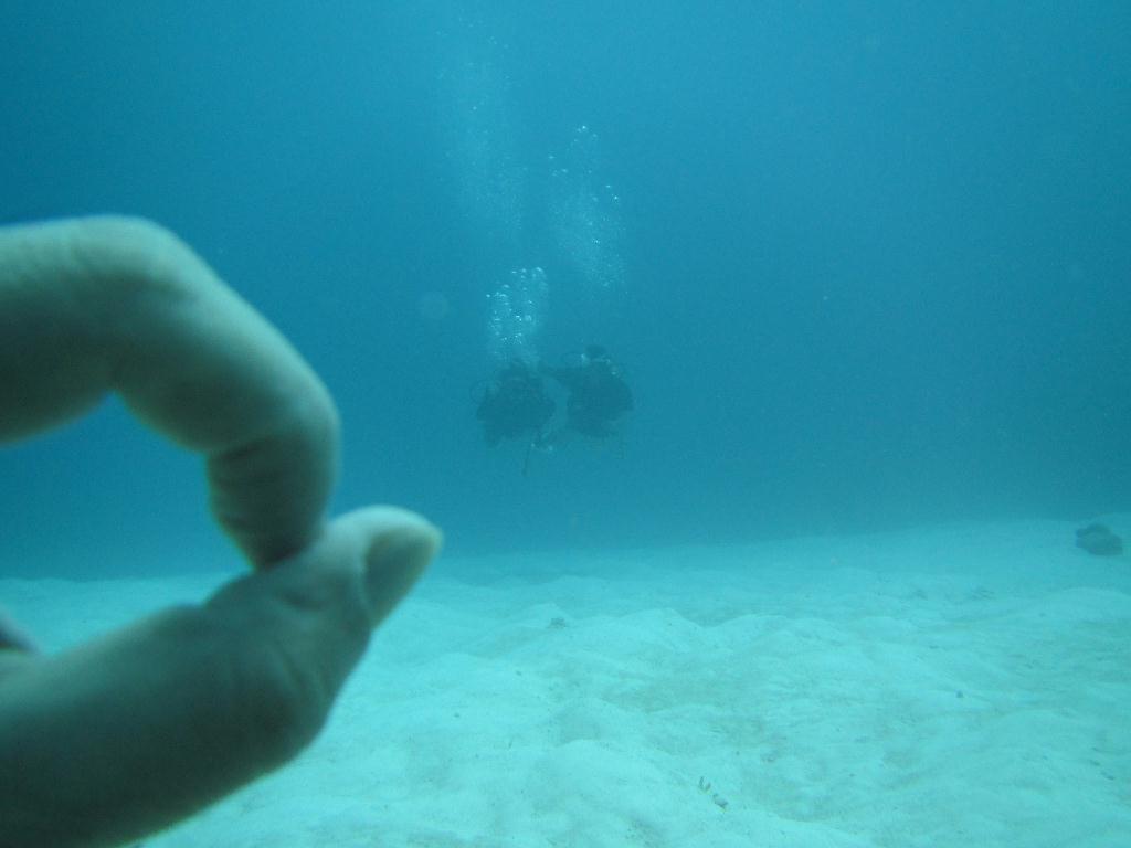 펀 다이빙 - 팔라우(그랑블루) - glass land