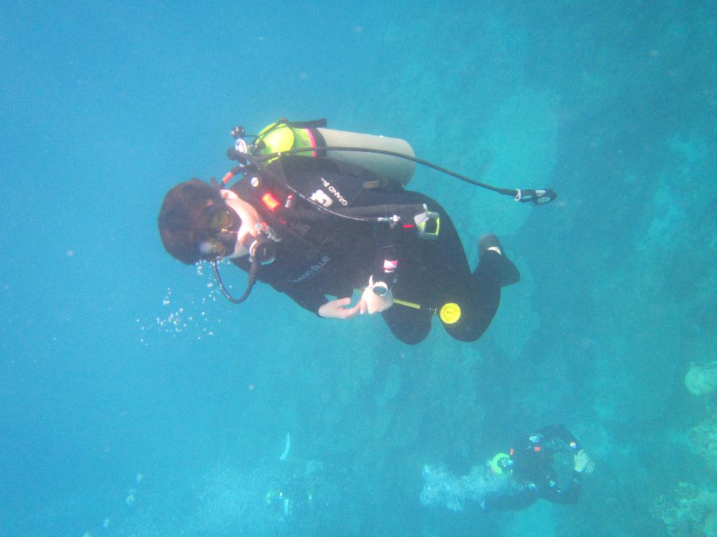 펀 다이빙 - 팔라우(그랑블루) - Ulong wall