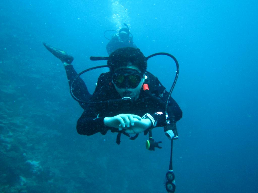 펀 다이빙 - 팔라우(그랑블루) - Ulong wall