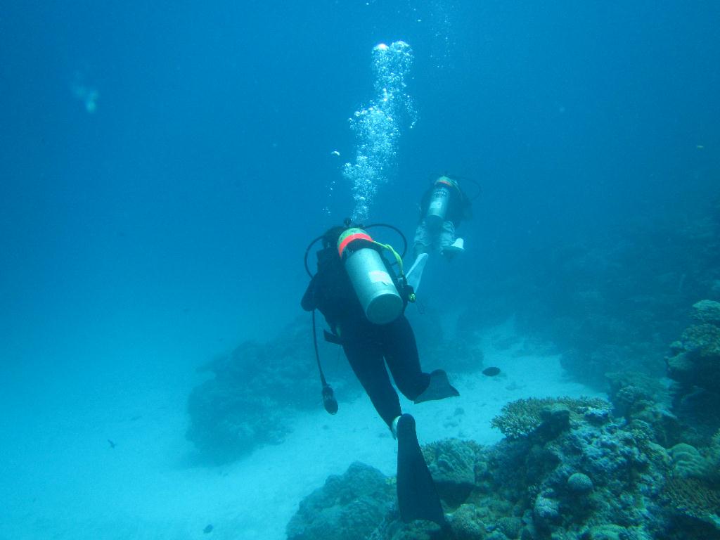 펀 다이빙 - 팔라우(그랑블루) - glass land