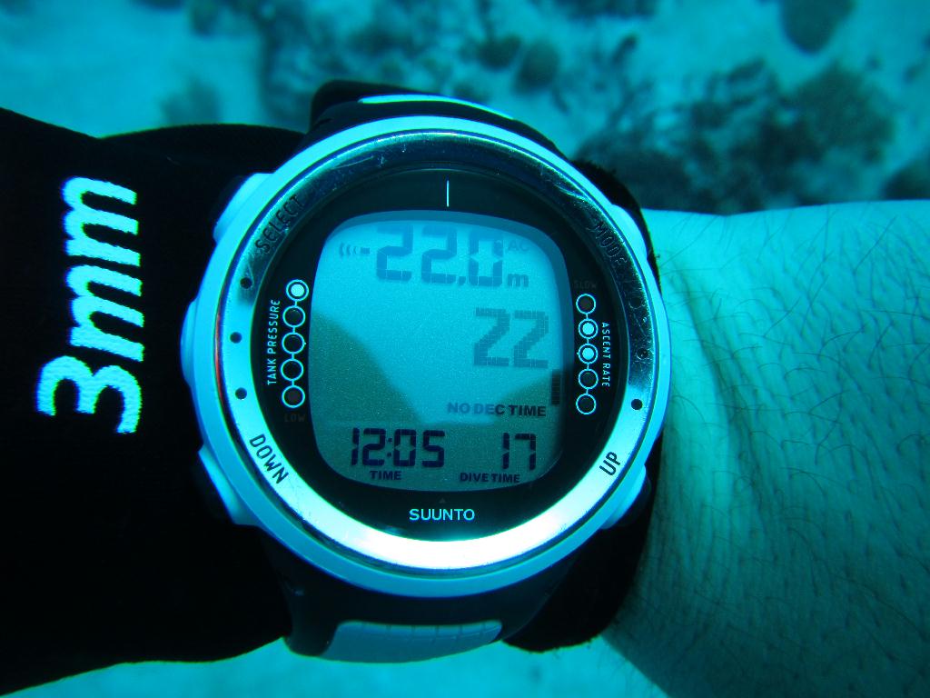 펀 다이빙 - 팔라우(그랑블루) - glass land