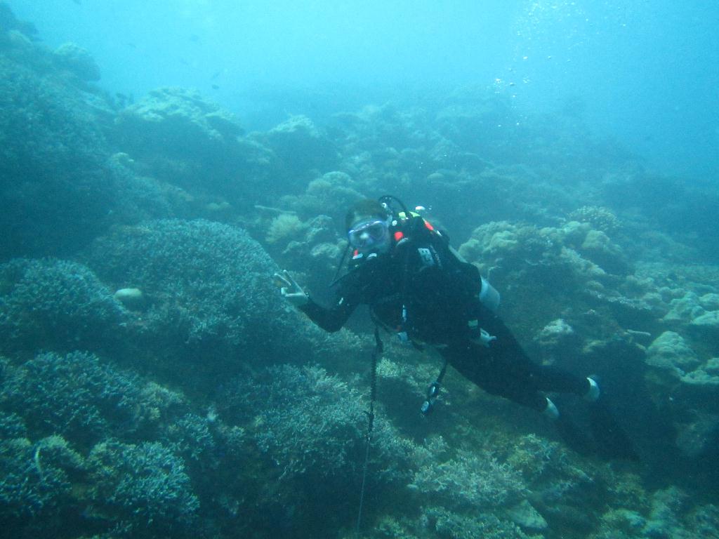 펀 다이빙 - 팔라우(그랑블루) - Ulong wall