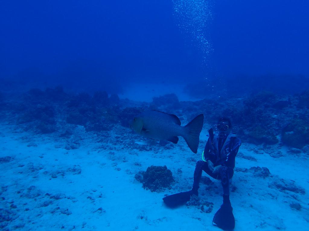 티니안 - 레드홀