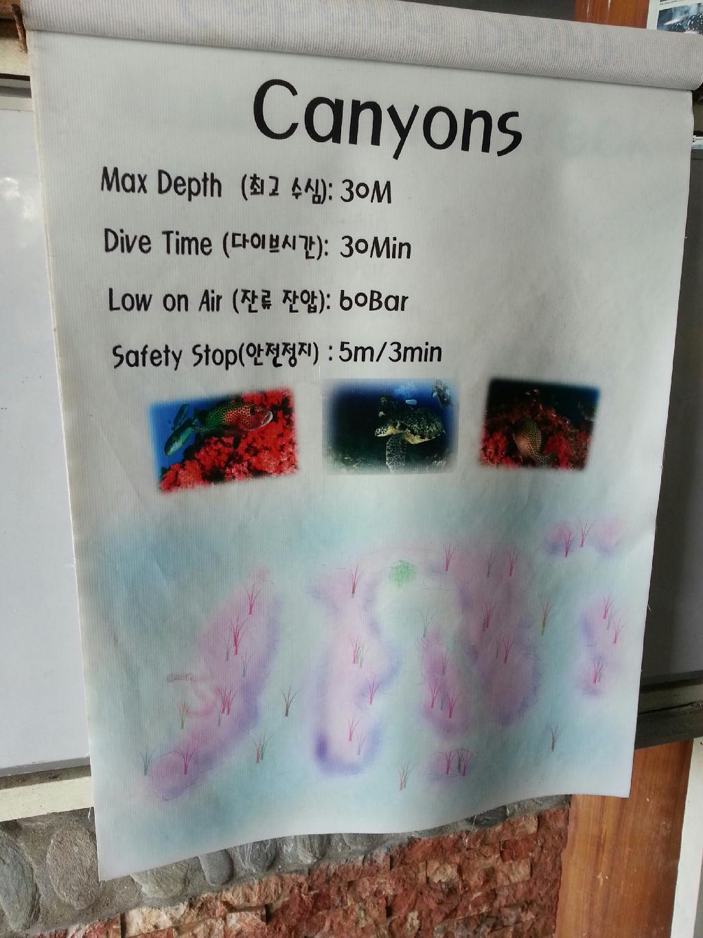 펀다이빙 - 민도르 사방 레드썬 리조트 - Canyons