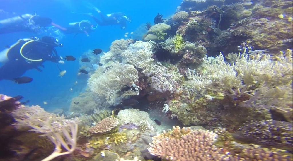 펀다이빙(야간) - 민도르 사방 레드썬 리조트 - Sabang Wreck