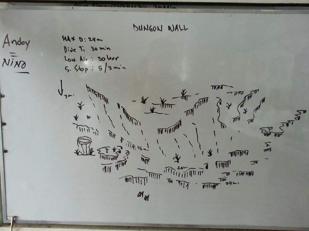 펀다이빙 - 민도르 사방 레드썬 리조트 - Dungon Wall