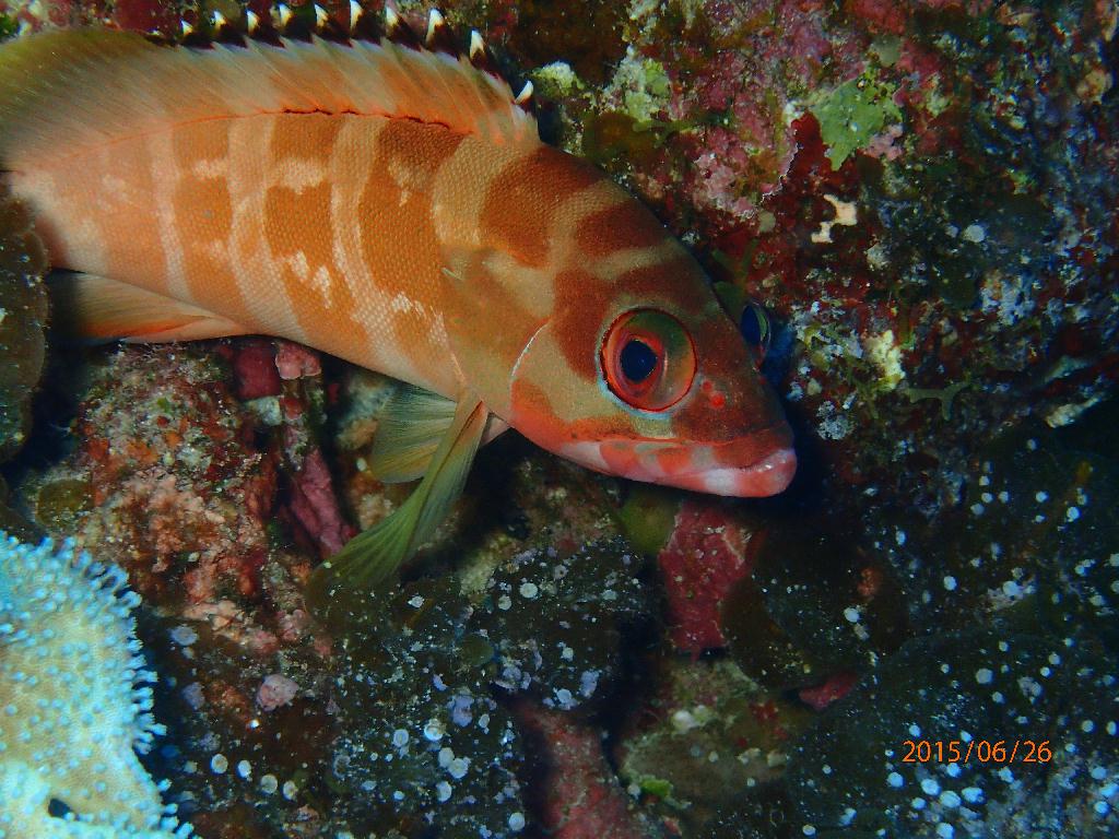 Kerama Island - Nanabanzaki