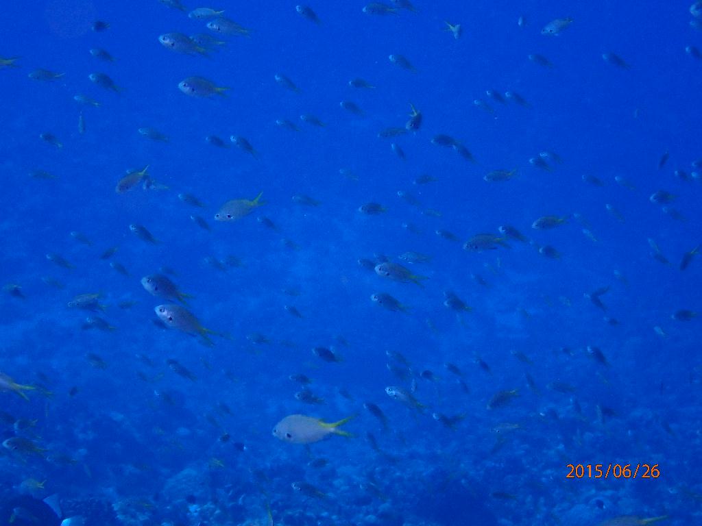 Kerama Island - Kuroshima TwinRock