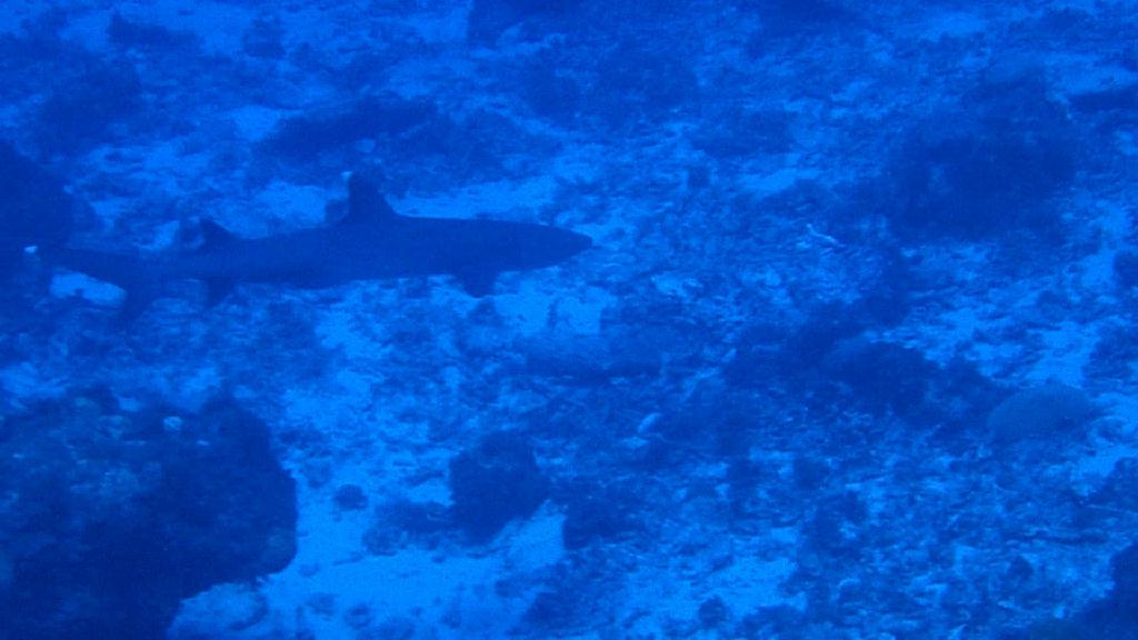 Kerama Island - Kuroshima TwinRock