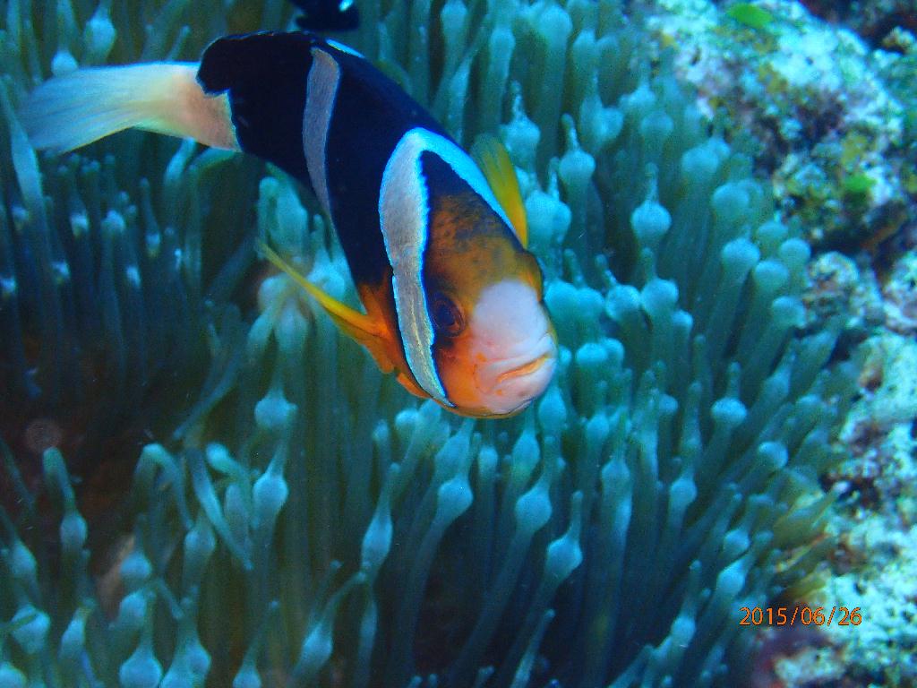 Kerama Island - Kuroshima TwinRock