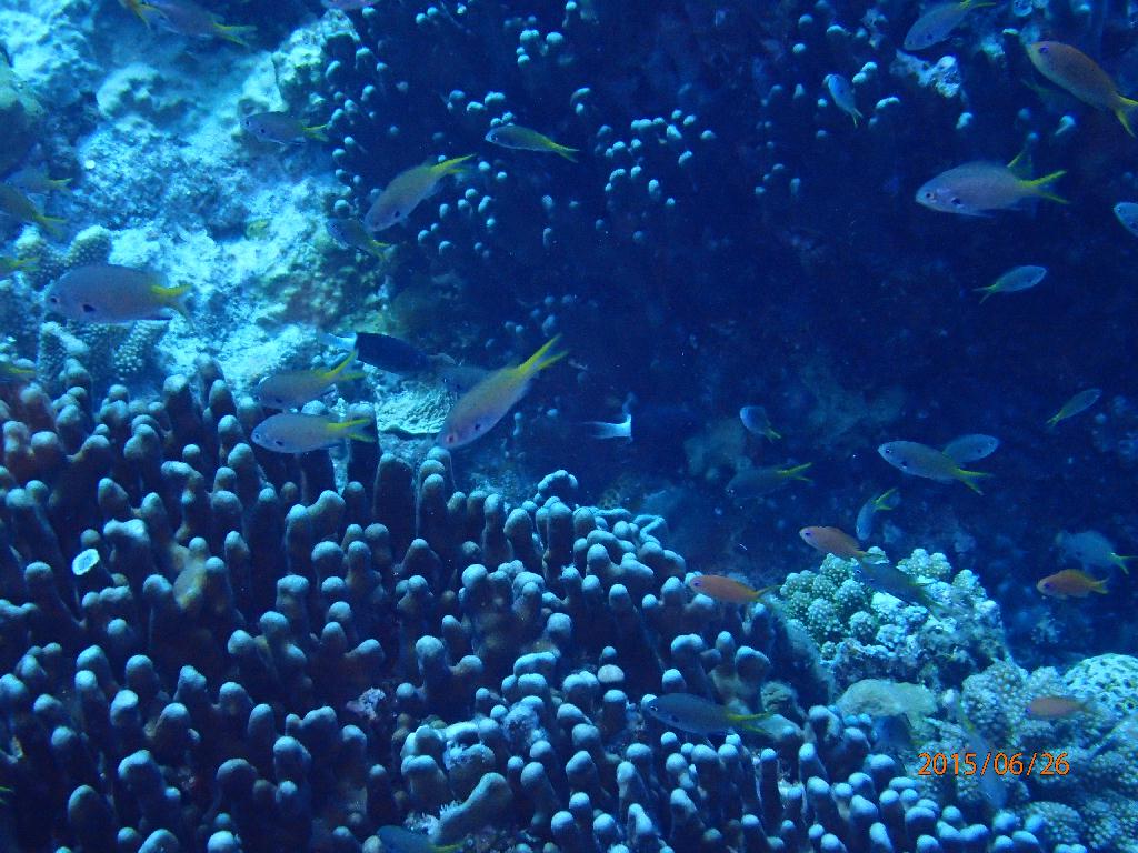 Kerama Island - Kuroshima TwinRock