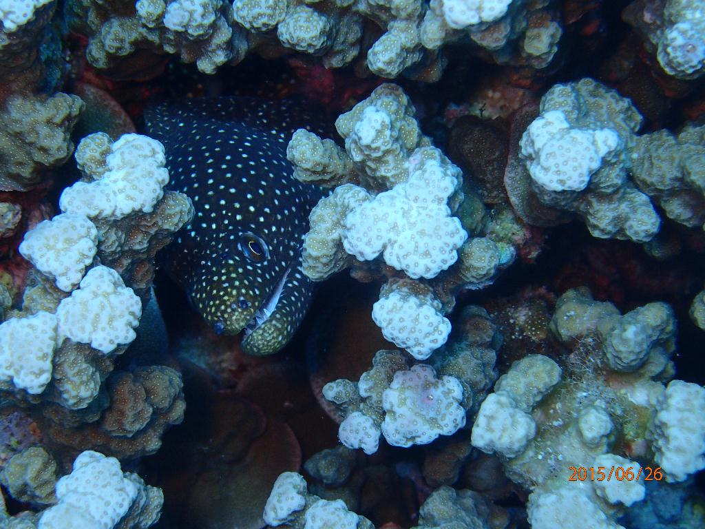 Kerama Island - Nanabanzaki