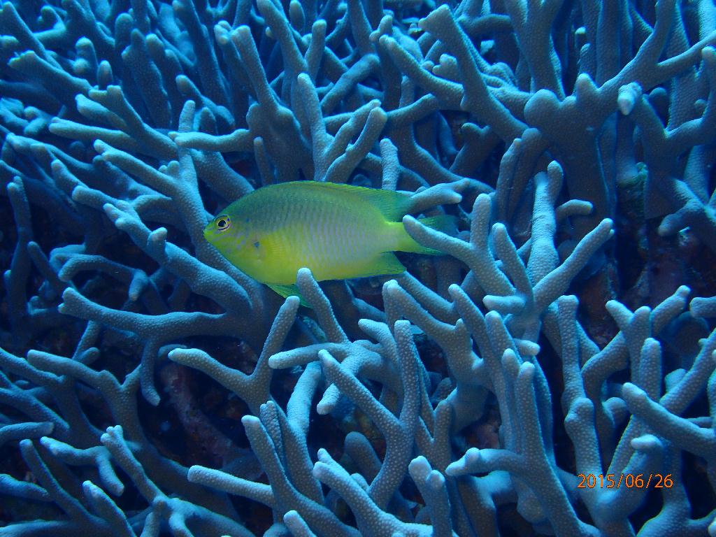 Kerama Island - Nanabanzaki