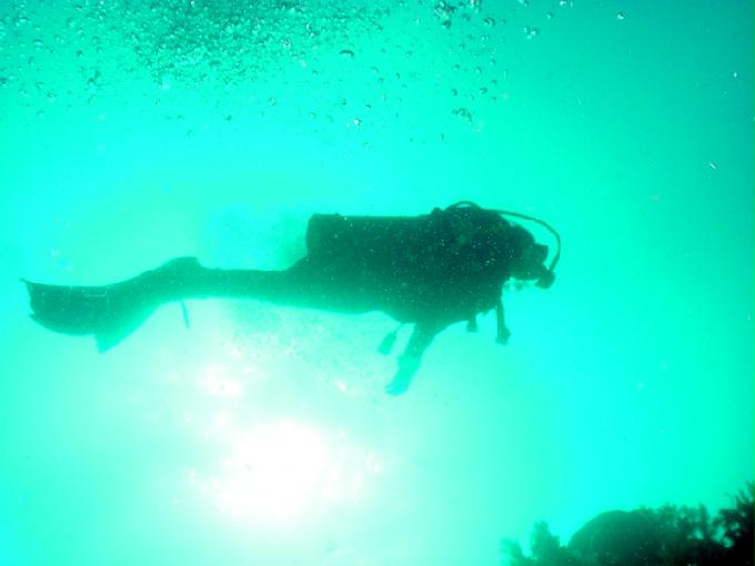 愉快的潜水活动 - 菲律宾佬沃度假村 - Balay
