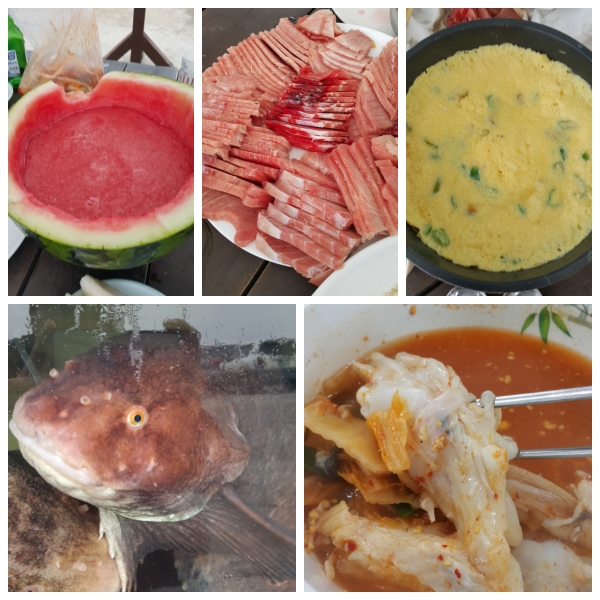 죽변리조트 - 35미터 인공어초