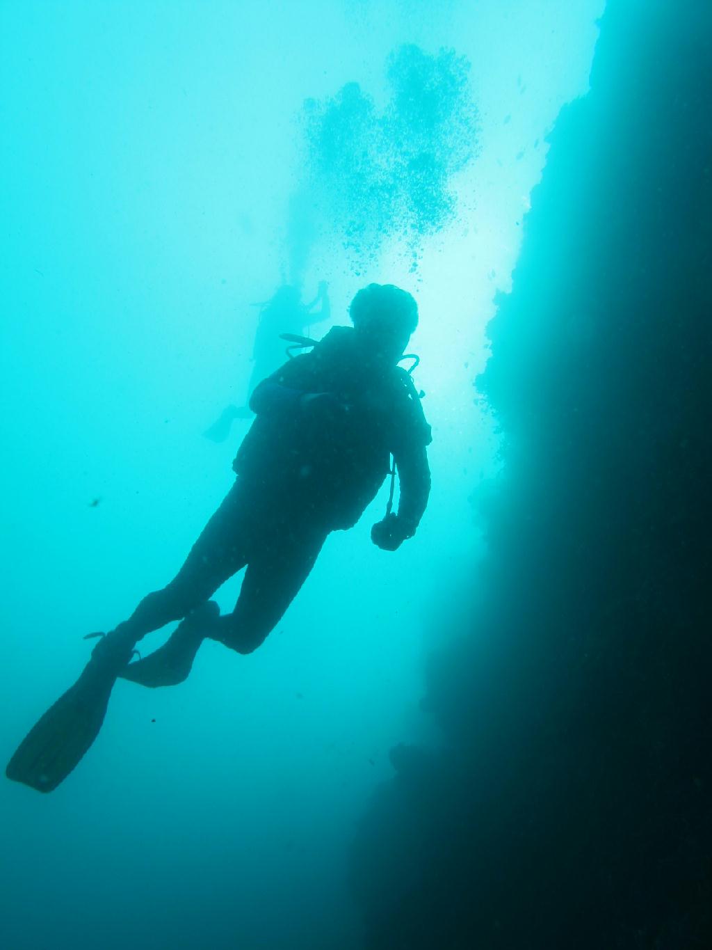 세부막탄 니모다이브샵 - olango talima marine sanctuary