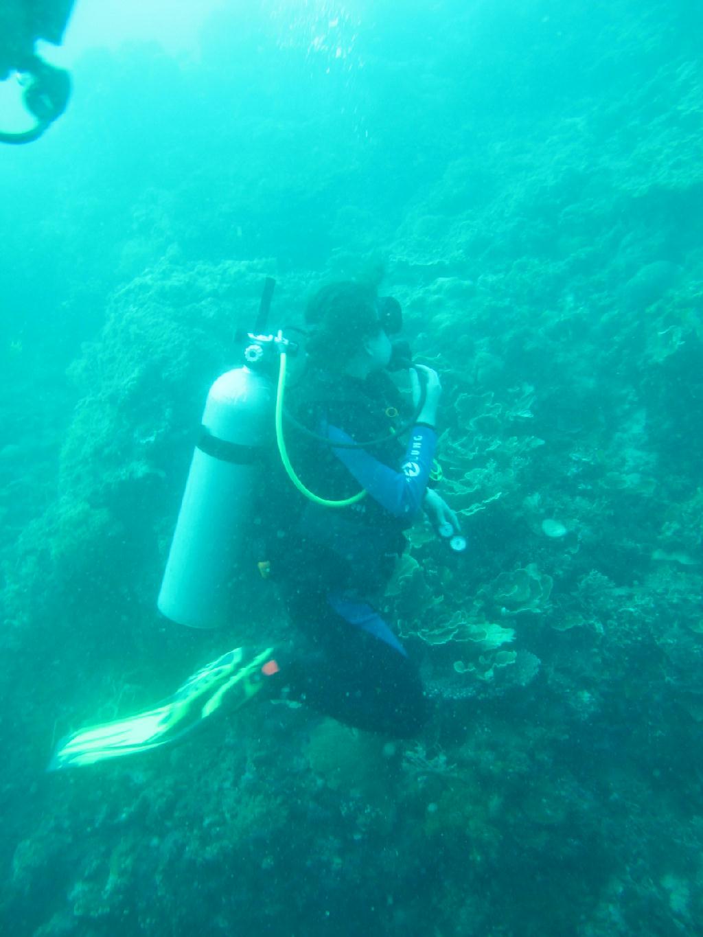 세부막탄 니모다이브샵 - olango talima marine sanctuary