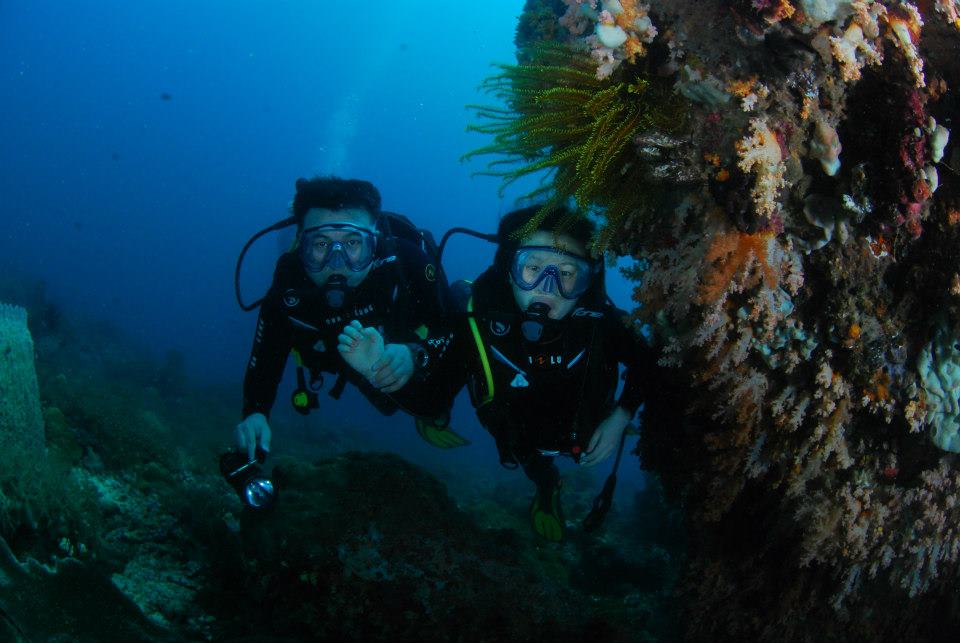 세부막탄 씨홀스 - marigondon reef