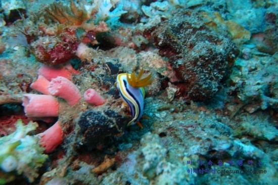 아닐라오 클럽J리조트 - Darylaut